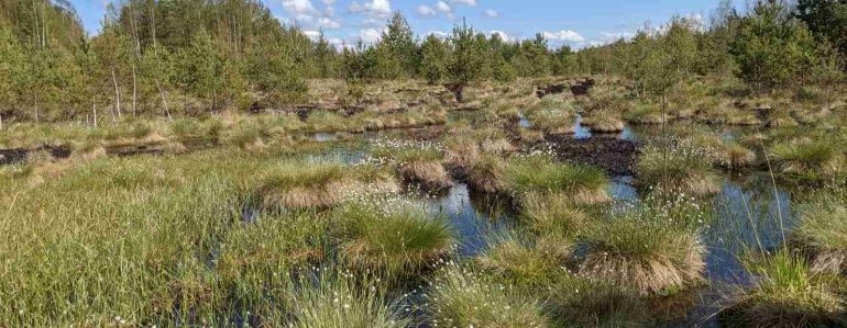 Obnovu vodního režimu rašelinišť a pramenišť pomůže zajistit nový standard