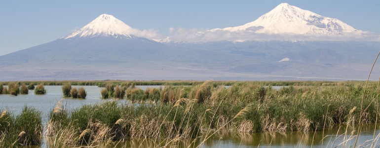 Pomáháme s ochranou přírody v Zakavkazsku