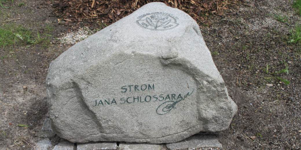 Detail památného kamene Jana Schlossara.
