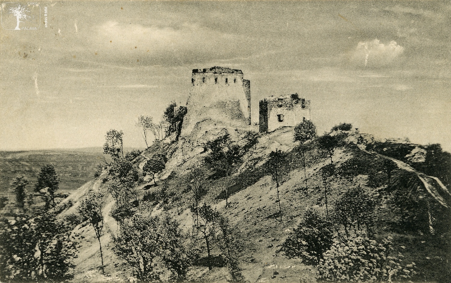 Les u Děviček na začátku 20. století.