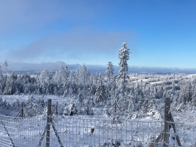 Zimní panorama Nepomuk.