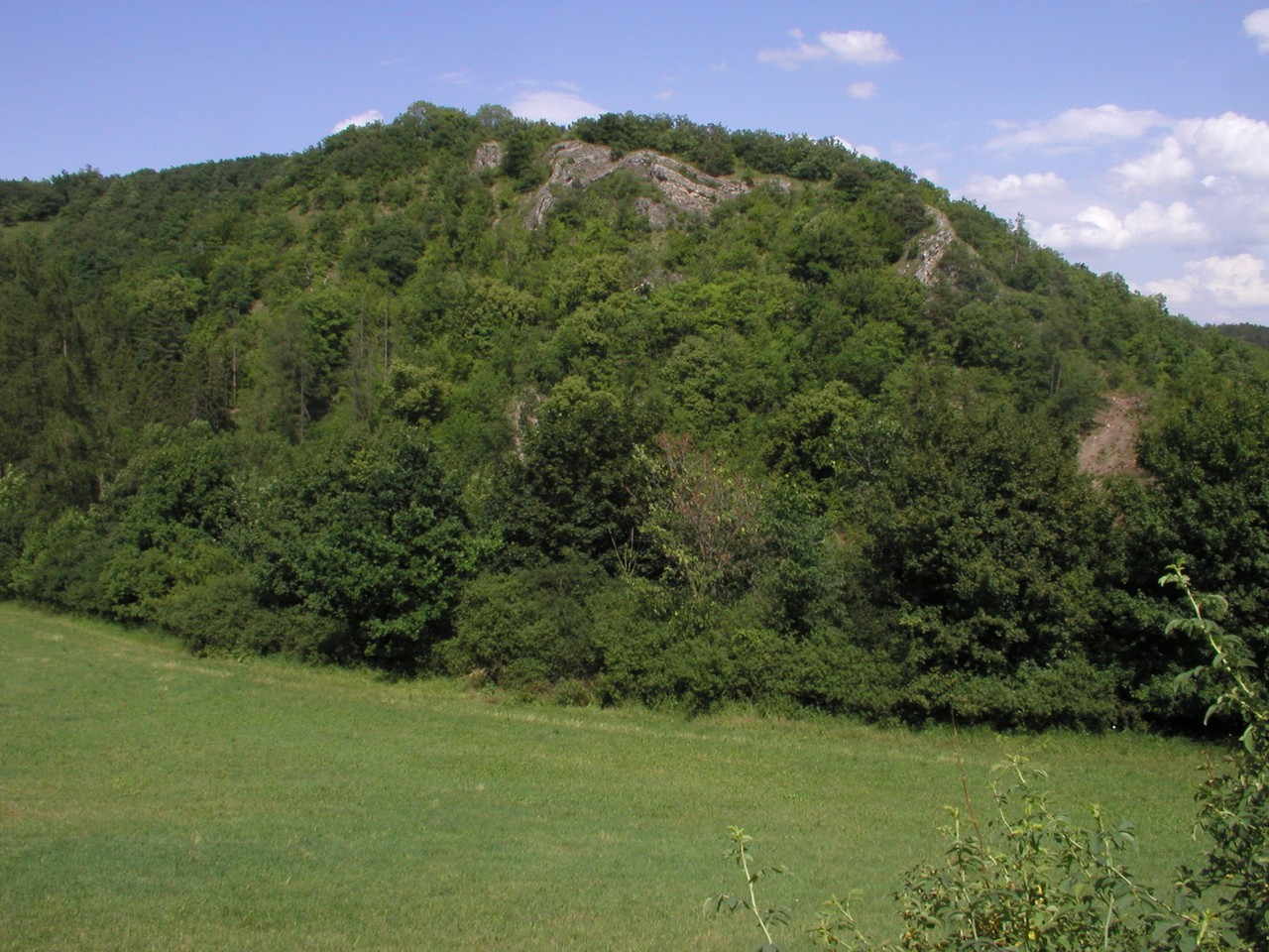 Zalesněný hřbet severně od potoka Švarcavy.