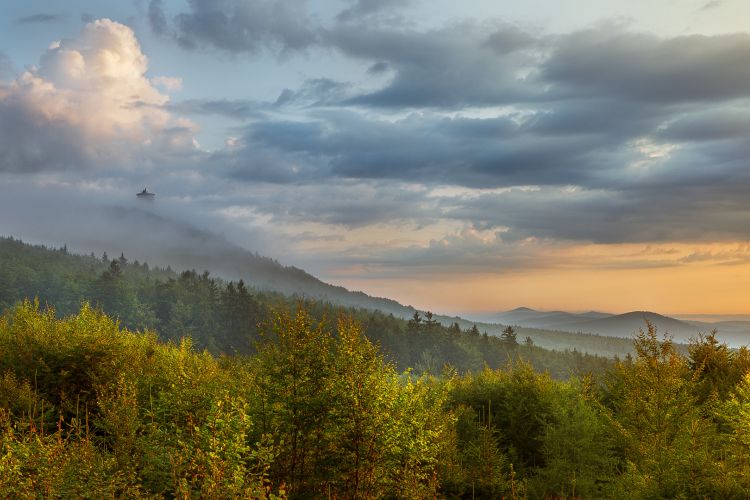 Chráněná krajinná oblast Český les
