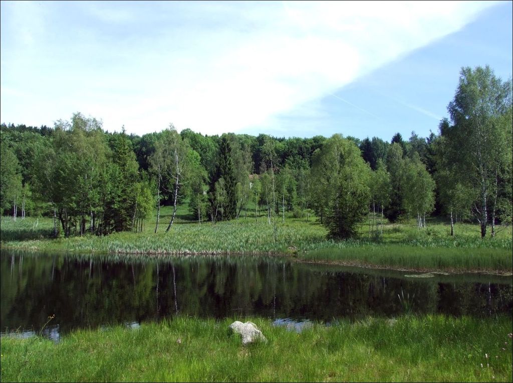 Maxovský rybník s cenným břehovým porostem.