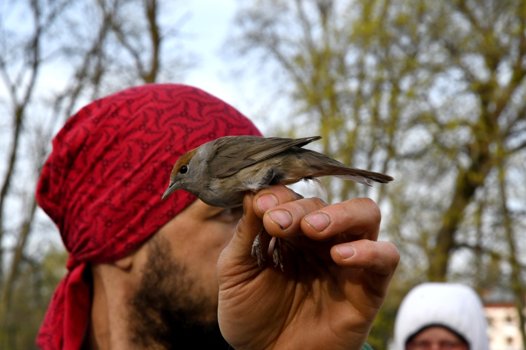 Vítání ptačího zpěvu v Botanická zahradě v Bečově nad Teplou