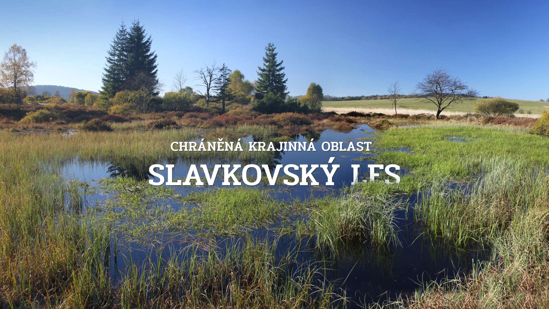 Chráněná krajinná oblast Slavkovský les