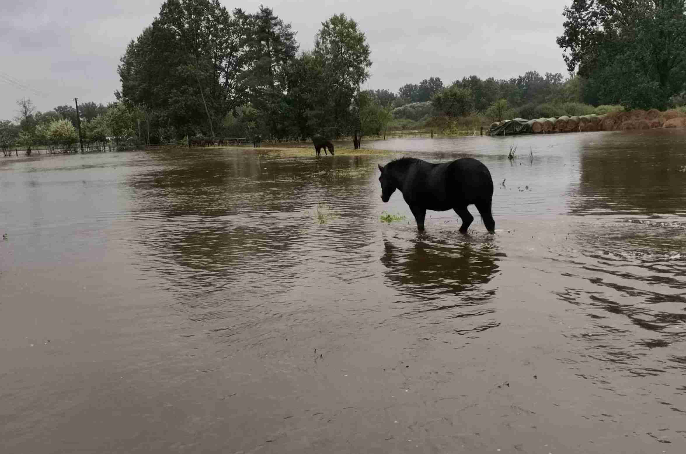 ceska-krajina-meandry-luznice-zaplavy-povoden-velka-voda-divokyi-kun.jpg